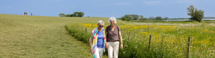 Twee vrouwen wandelen bij de Lekdijk, Tull en 't Waal
