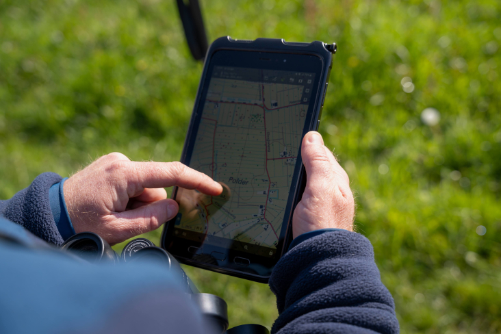 Een tablet om weidevogels te tellen