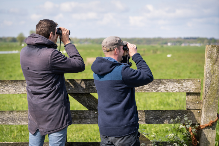 Twee mannen zoeken naar weidevogels