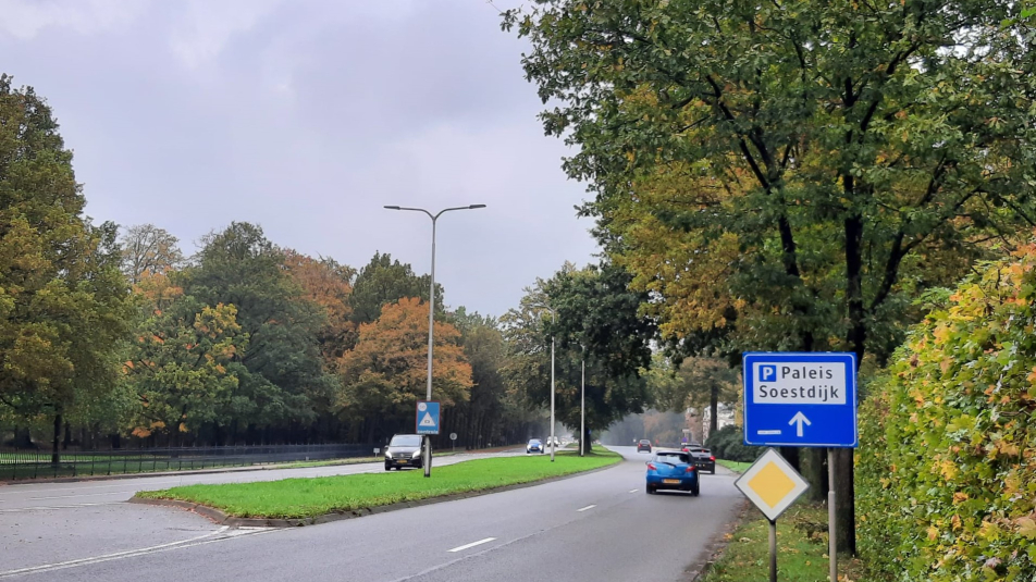 De provinciale weg N221 ter hoogte van Paleis Soestdijk met auto's. lichtmasten en bomen.